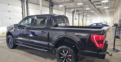 2023 Ford F-150 XLT SPORT V8