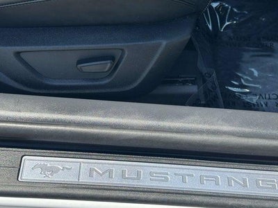 2025 Ford Mustang EcoBoost Convertible