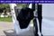 2024 RAM ProMaster 2500 Cargo Van Tradesman High Roof 159' WB w/Pass Seat
