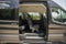 2026 Ford Transit Commercial Passenger Van XLT