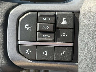 2026 Ford Super Duty F-250 Black Widow 4WD