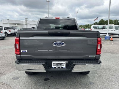2023 Ford F-150 4WD