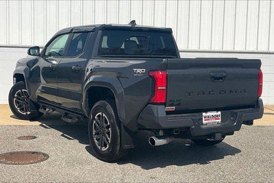 2024 Toyota TACOMA TRD SPORT TRD Sport