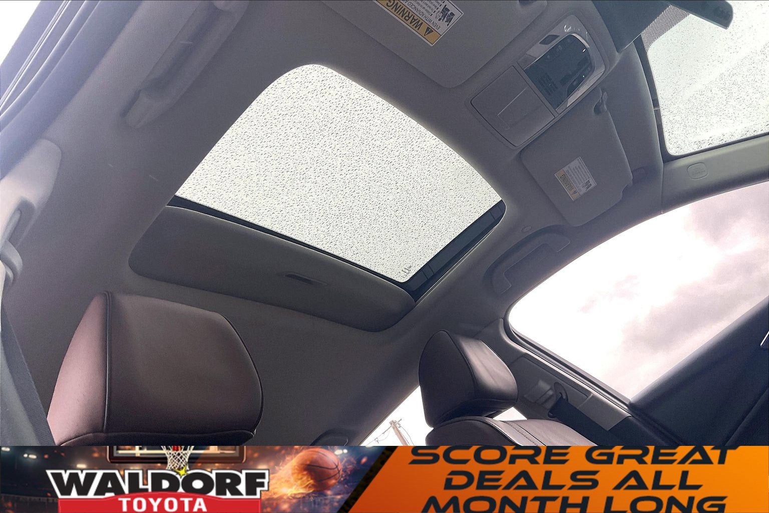 2023 Acura TLX w/Advance Package