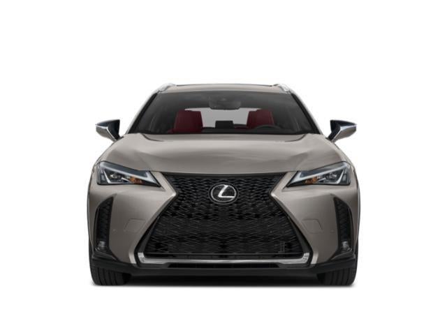 2019 Lexus UX UX 200 F SPORT