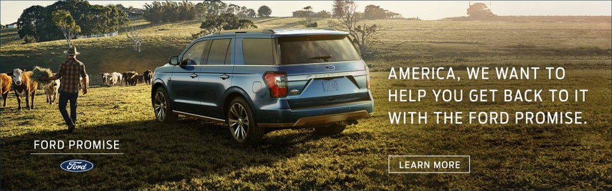 Ford Promise Campaign